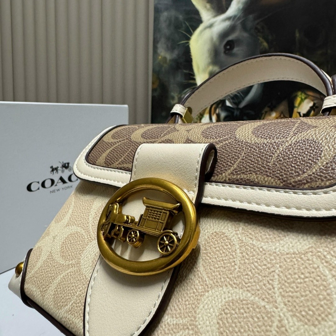 женская сумка coach,сумка coach,сумка,люкс сумка,стильная сумка