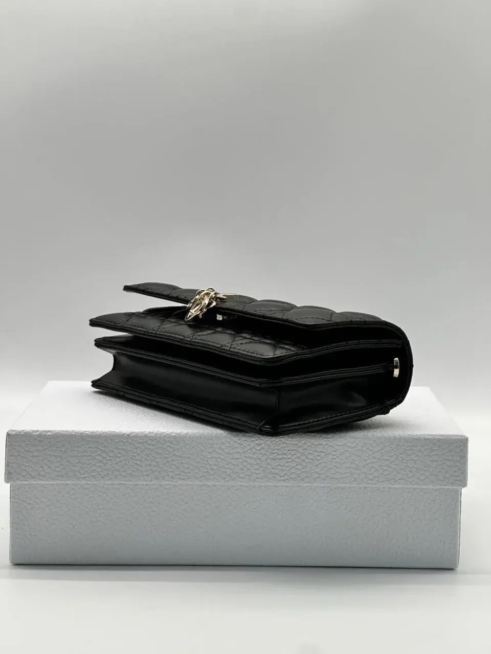 dior сумка,dior bag,клатч,сумки для женщин,модная сумка