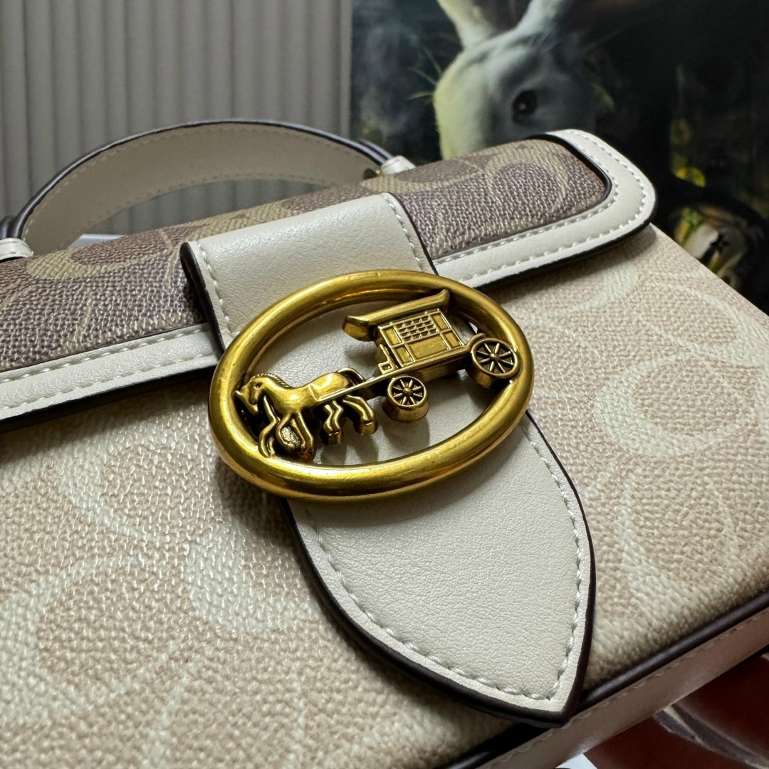 женская сумка coach,сумка coach,сумка,люкс сумка,стильная сумка