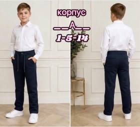Штаны