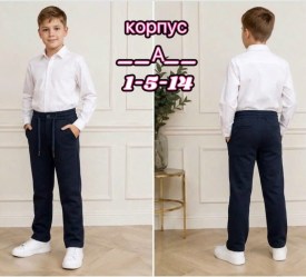 Штаны