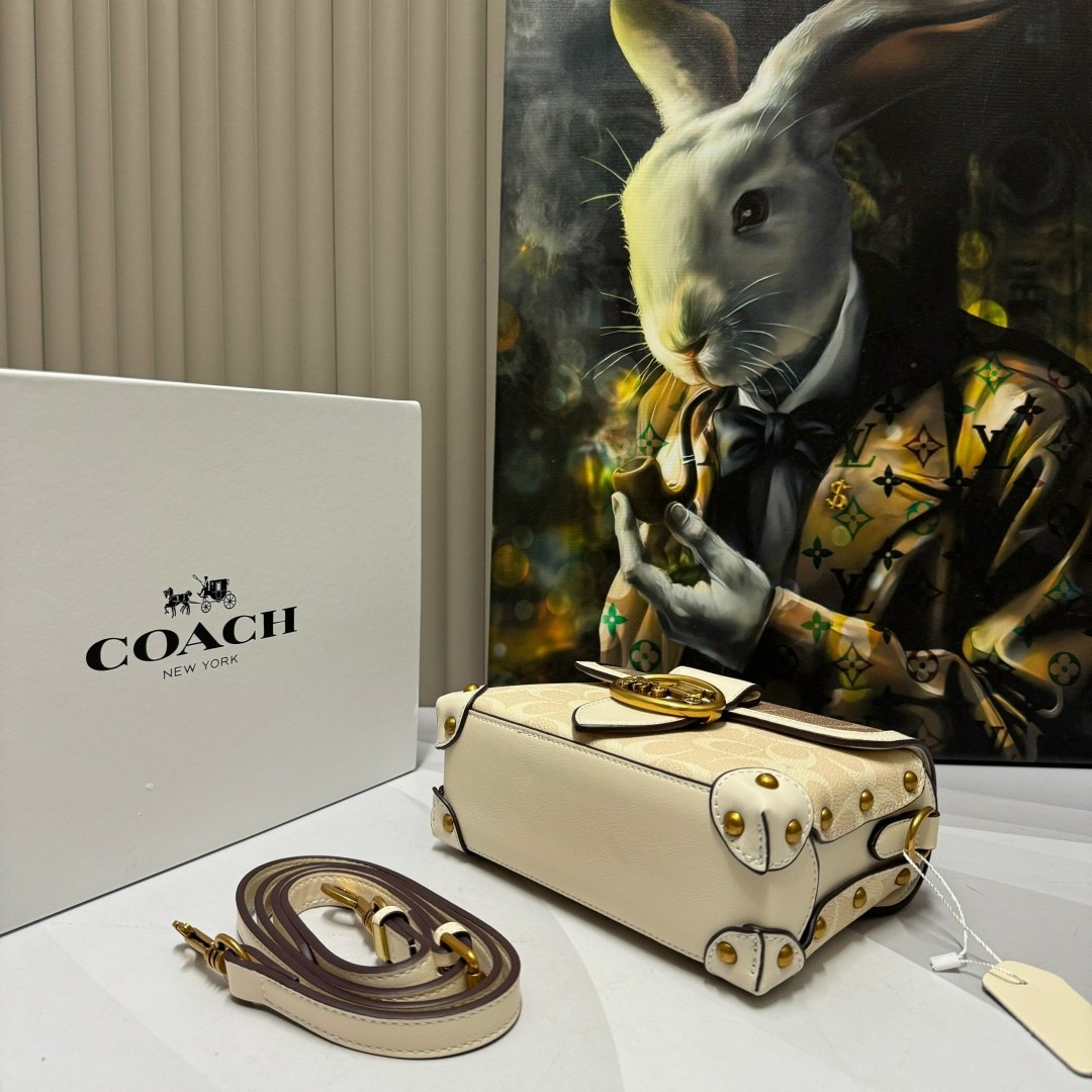 женская сумка coach,сумка coach,сумка,люкс сумка,стильная сумка