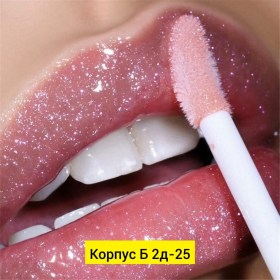 Одежда