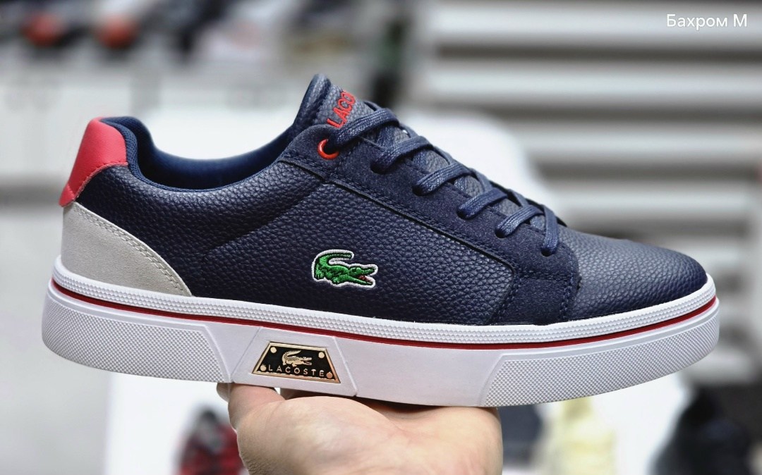 кеды лакост мужские,кроссовки lacoste, лакоста,,кроссовки лакоста мужские