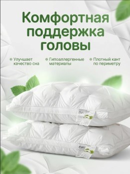 Одежда