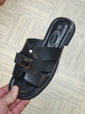 Сланцы