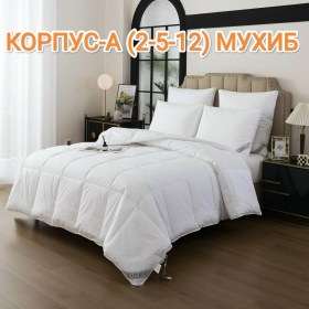 Одежда