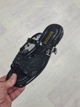 Сланцы