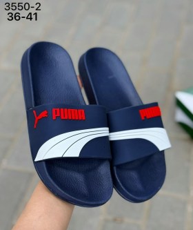 Сланцы