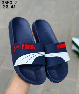 Сланцы