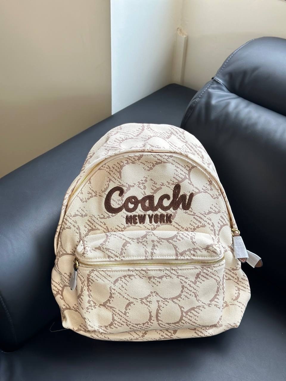 coach рюкзак,рюкзак coach женский,рюкзак coach натуральная кожа,стильная рюкзак,рюкзак от coach