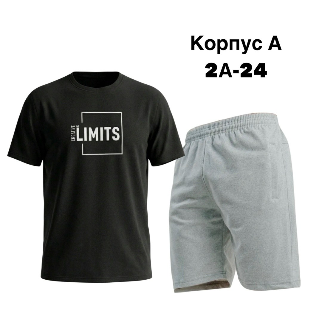 костюм спортивный мужской,спортивный костюм летний мужской,комплект одежды мужской,костюм мужской,летние костюмы