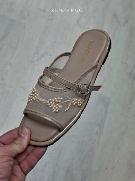 Сланцы