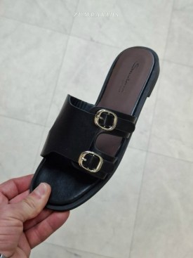Сланцы