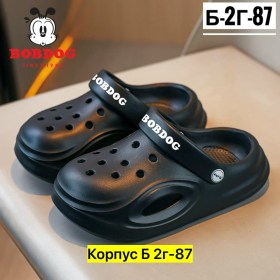 Сланцы