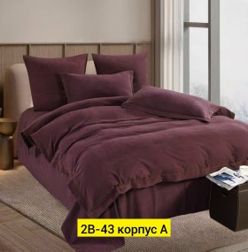Одежда