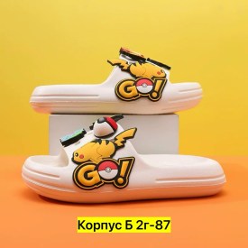 Сланцы
