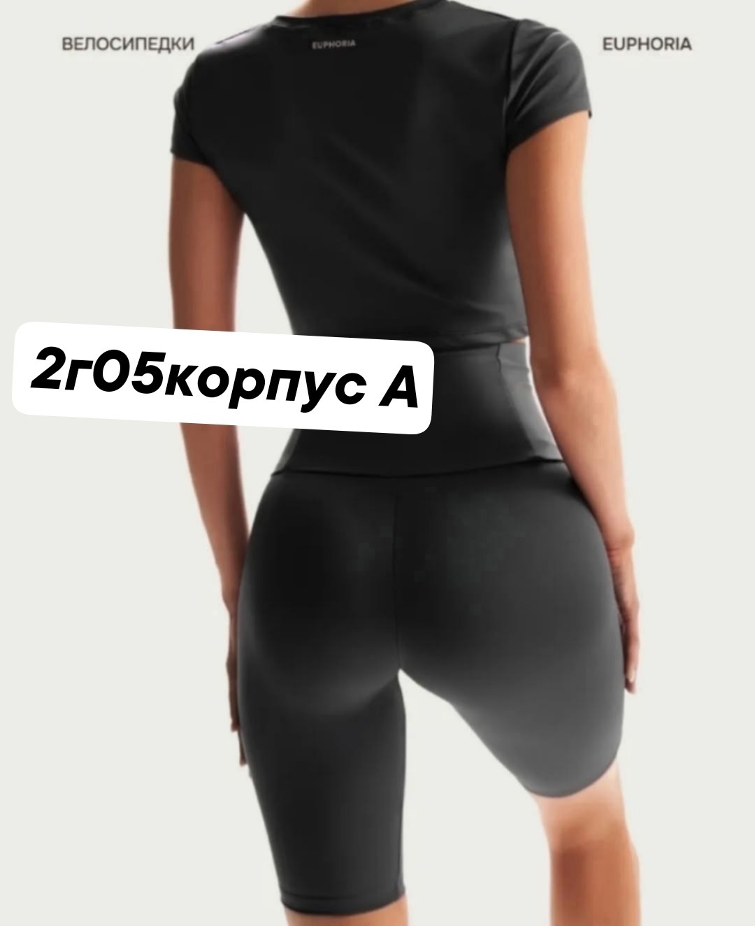 велосипедки черные,велосипедки женские,женские спортивные шорты,фитнес костюм,одежда для спорта