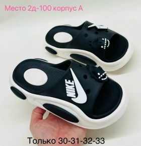 Сланцы
