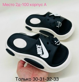 Сланцы