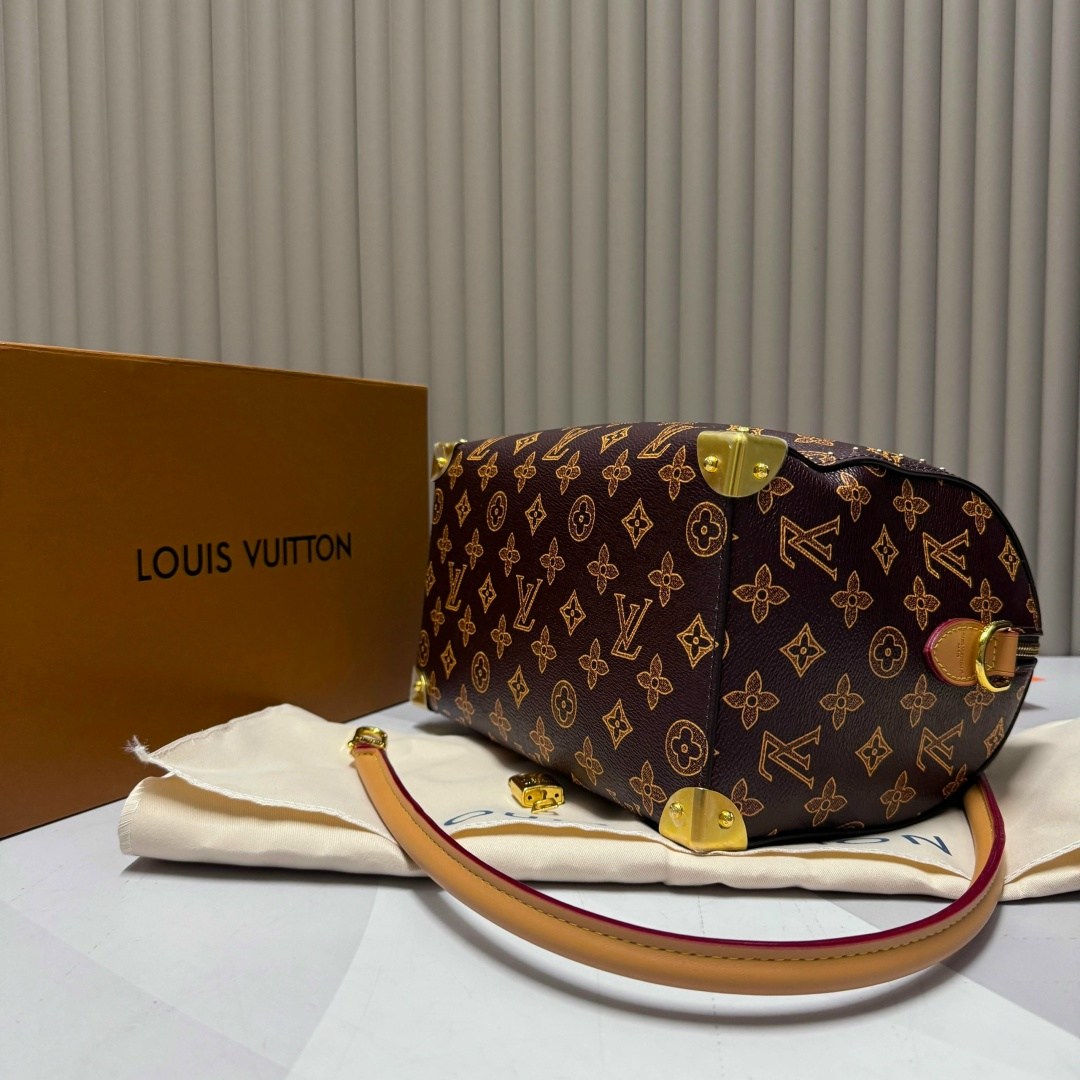 сумка louis vuitton,louis vuitton сумка на плечо,сумка женская louis vuitton,lv louis vuitton 2026 новая женская сумка-кошелек,louis vuitton speedy