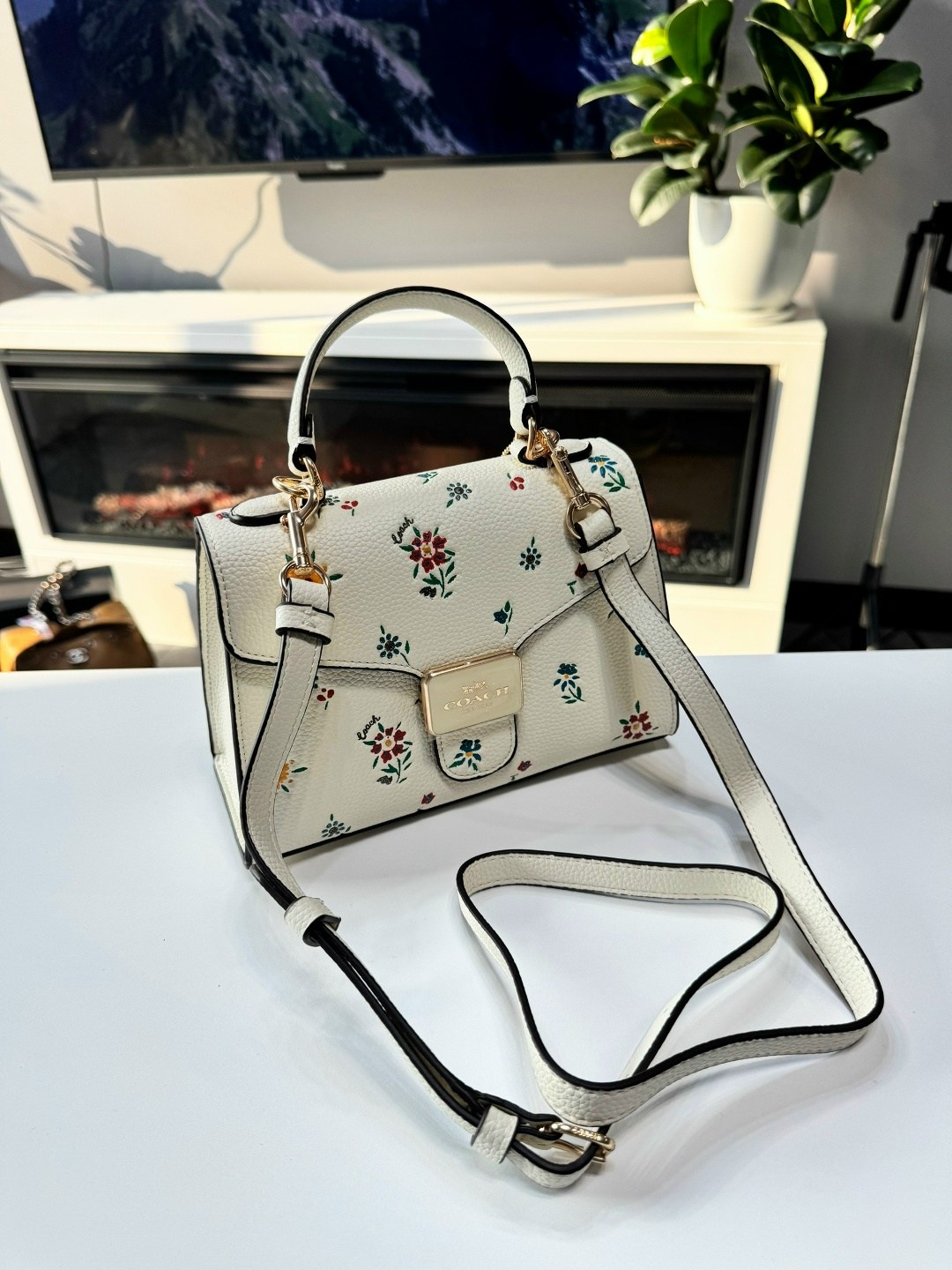 сумка женская coach,сумка,сумки женская,модная сумка,сумка coach
