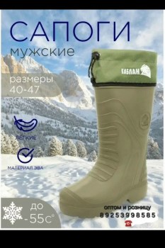 Одежда