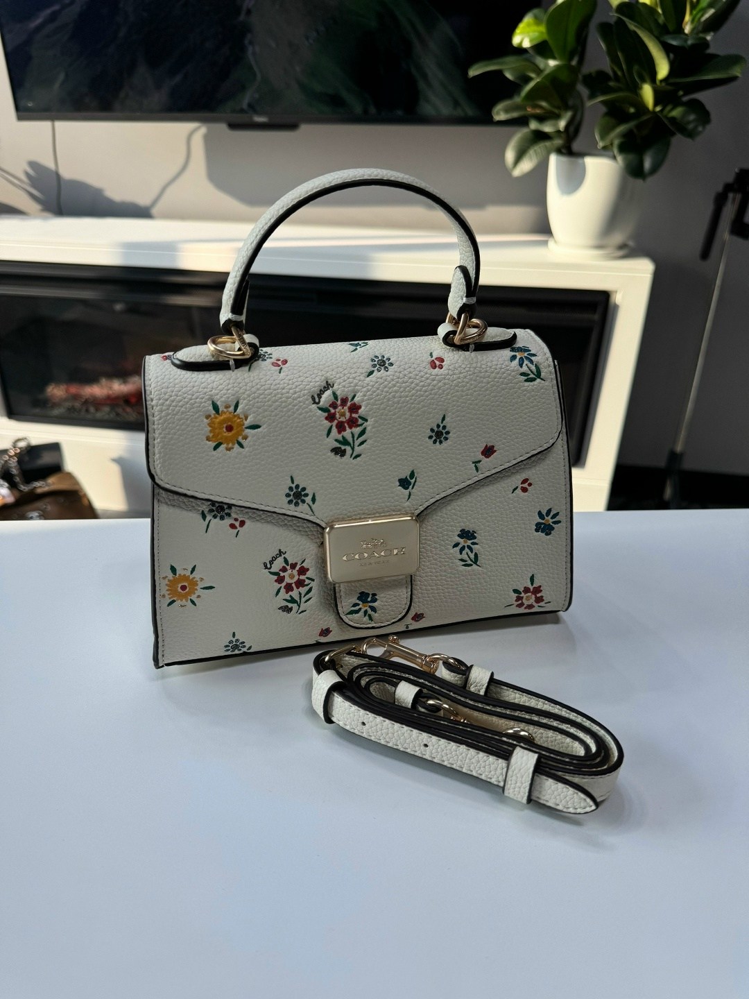 сумка женская coach,сумка,сумки женская,модная сумка,сумка coach
