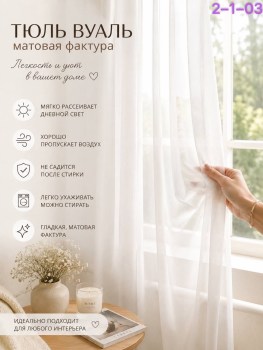 Одежда