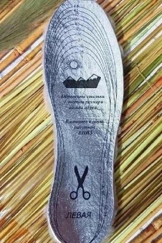 Одежда