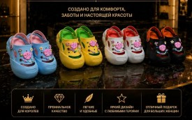 Сланцы