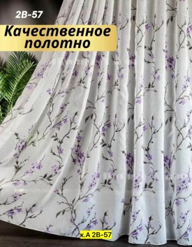 Одежда