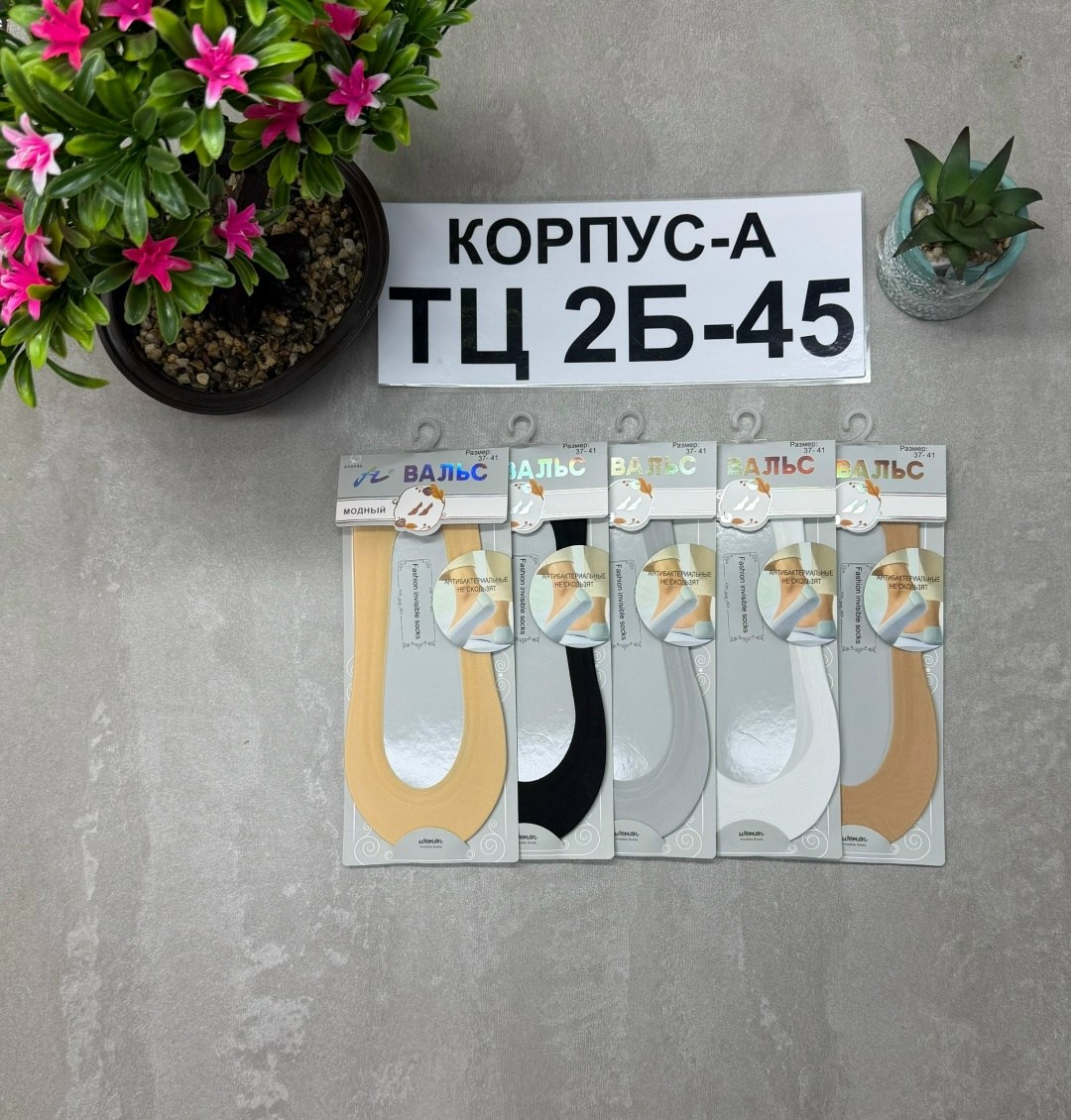 обувь,носки следки,женские подследники,носки женские,следки капроновые