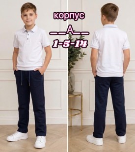 Брюки