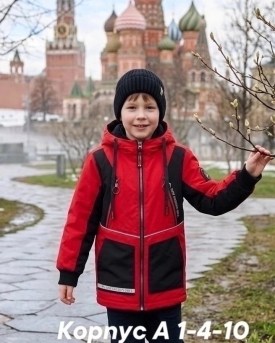 Верхняя одежда