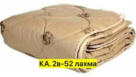 Одежда