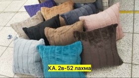 Одежда