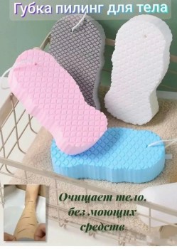 Одежда