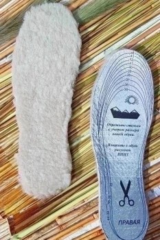Одежда