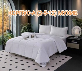 Одежда
