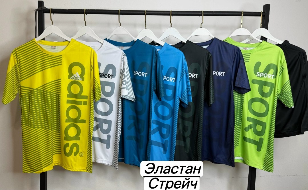 летний спортивный костюм с футболкой и шортами,костюм спортивный мужской шорты,костюм спортивный летний футболка,спортивные костюмы,спортивные мужские костюмы