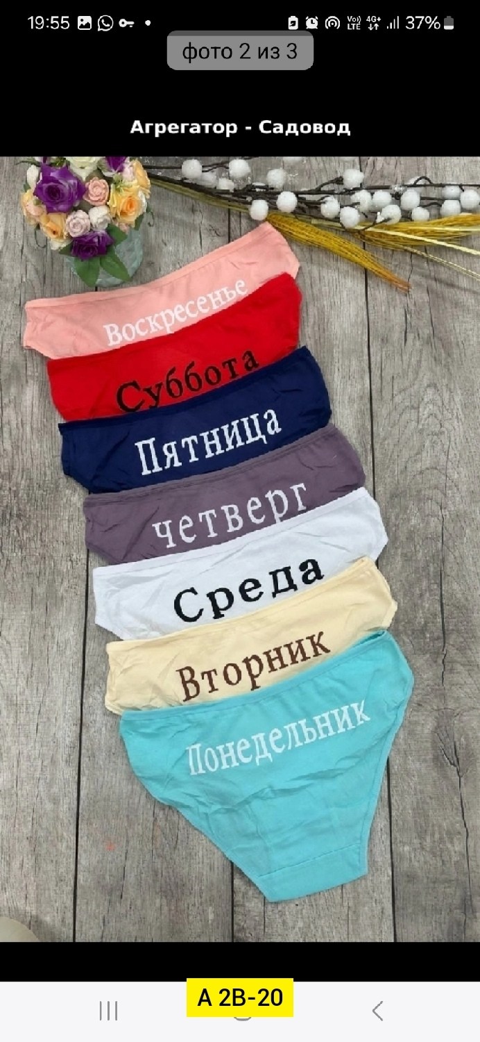 трусы неделька 7 штук begain store,трусы женские неделька,трусы женские 7 шт,трусы неделька 7 штук begai store,трусы неделька 7 штук bega store