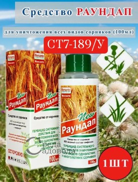 Новый год