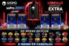 Одежда