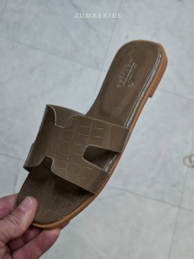 Сланцы