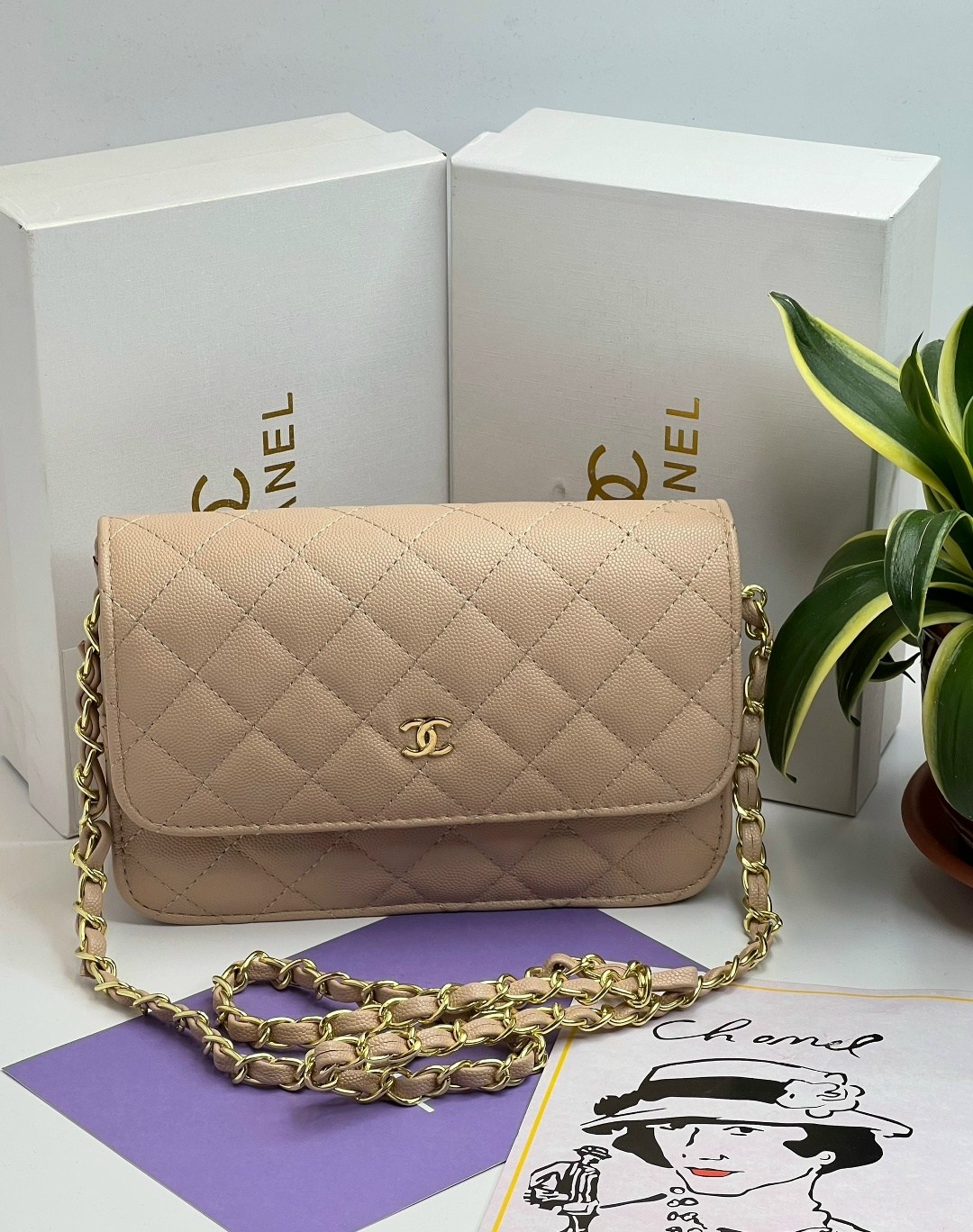 сумки chanel,сумка шанель,сумка chanel женская,кремовая сумка шанель,сумка шанель бежевая