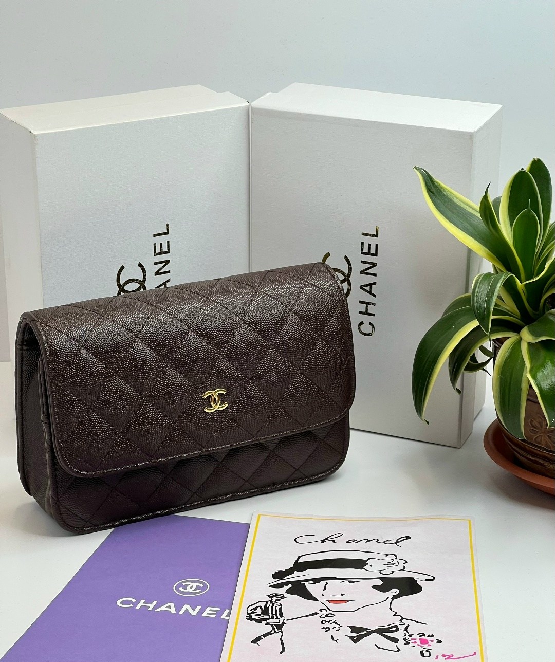 сумки chanel,сумка шанель,сумка chanel женская,кремовая сумка шанель,сумка шанель бежевая