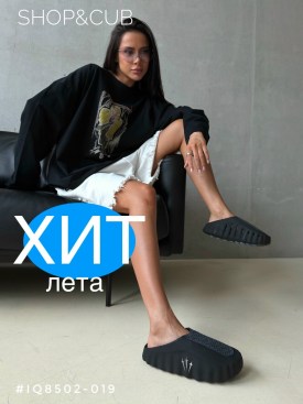 Сланцы
