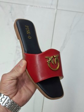 Сланцы