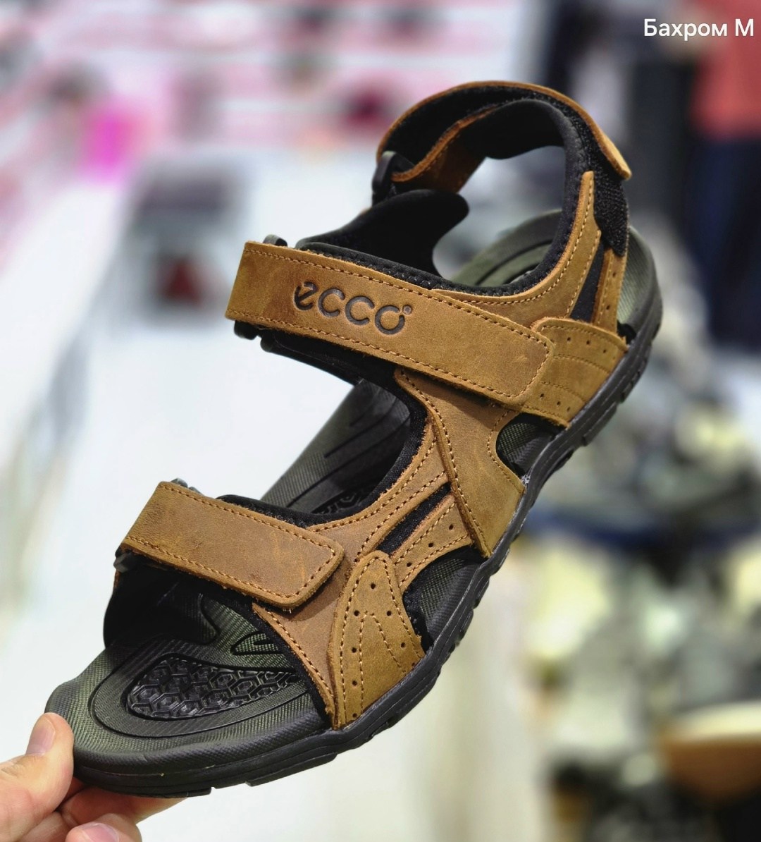 сандалии ecco,сандалии мужские ecco,сандали ecco,экко сандалии мужские,сандалии мужские